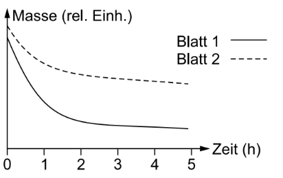 Diagramm mit zwei fallenden Kurven zu Masse über Zeit.
